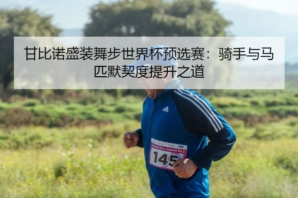 甘比诺盛装舞步世界杯预选赛：骑手与马匹默契度提升之道